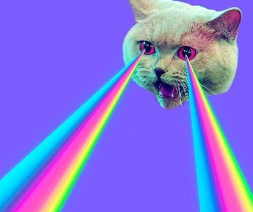 Trends in Graphic Design